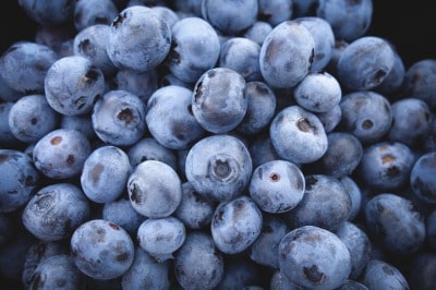 Ernährung Ernährung